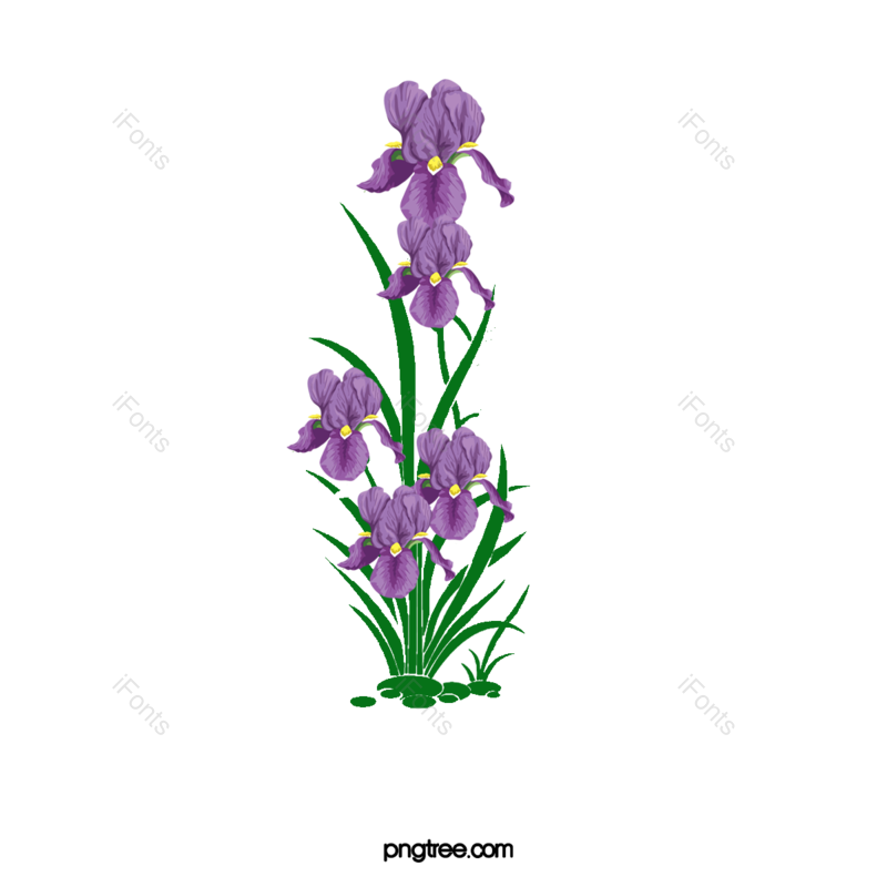 矢量花图片,元素,PNG,免抠素材